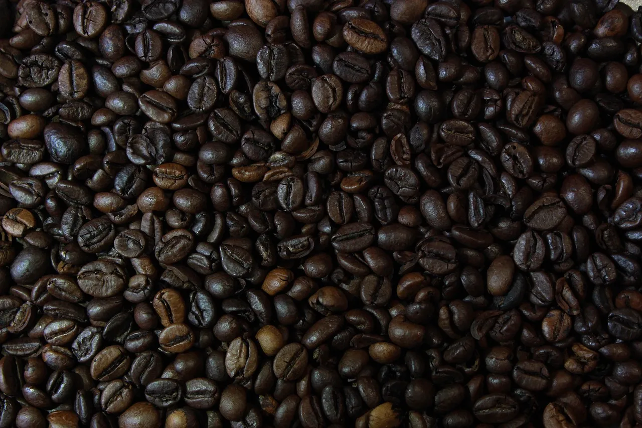 Granos de café recién tostados